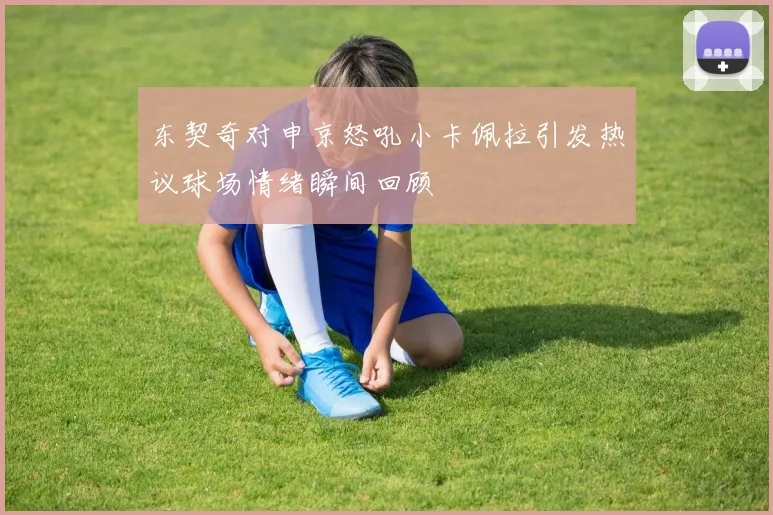 东契奇对申京怒吼小卡佩拉引发热议球场情绪瞬间回顾